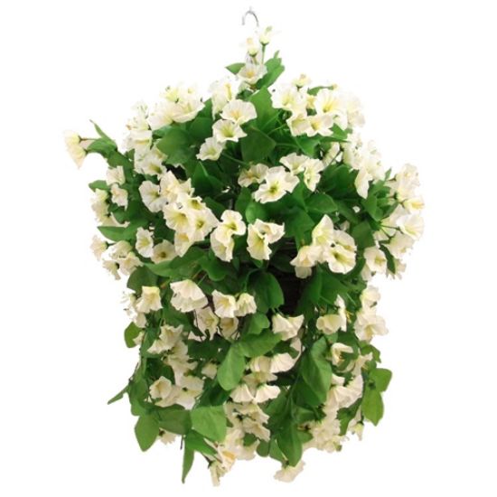 Hanging Basket 10 inch Morning Glory In Ivory