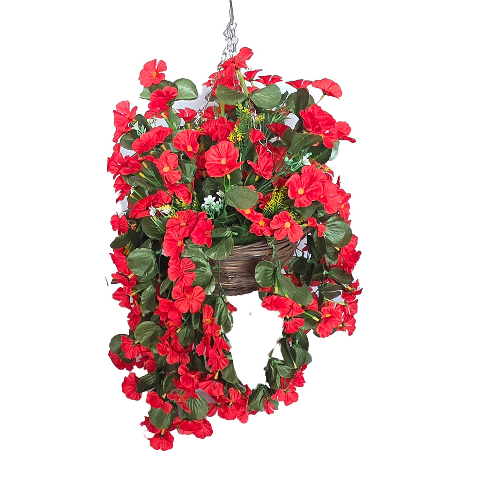 10 Inch Hanging Basket Nasturtium in Red