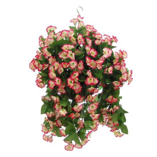 Hanging Basket 10 inch Morning Glory In Fuchsia-White