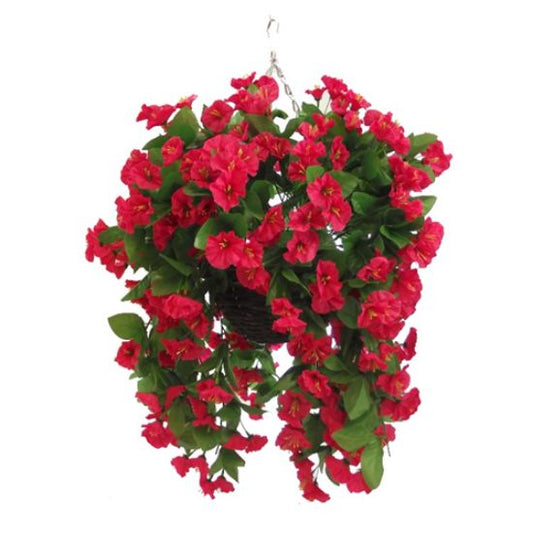 Hanging Basket 10 inch Morning Glory In Fuchsia
