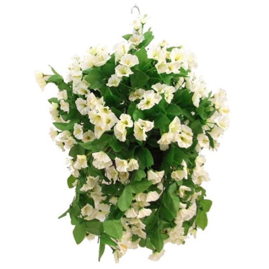 Hanging Basket 10 inch Morning Glory In Ivory