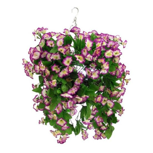 Hanging Basket 10 inch Morning Glory In Lilac-White