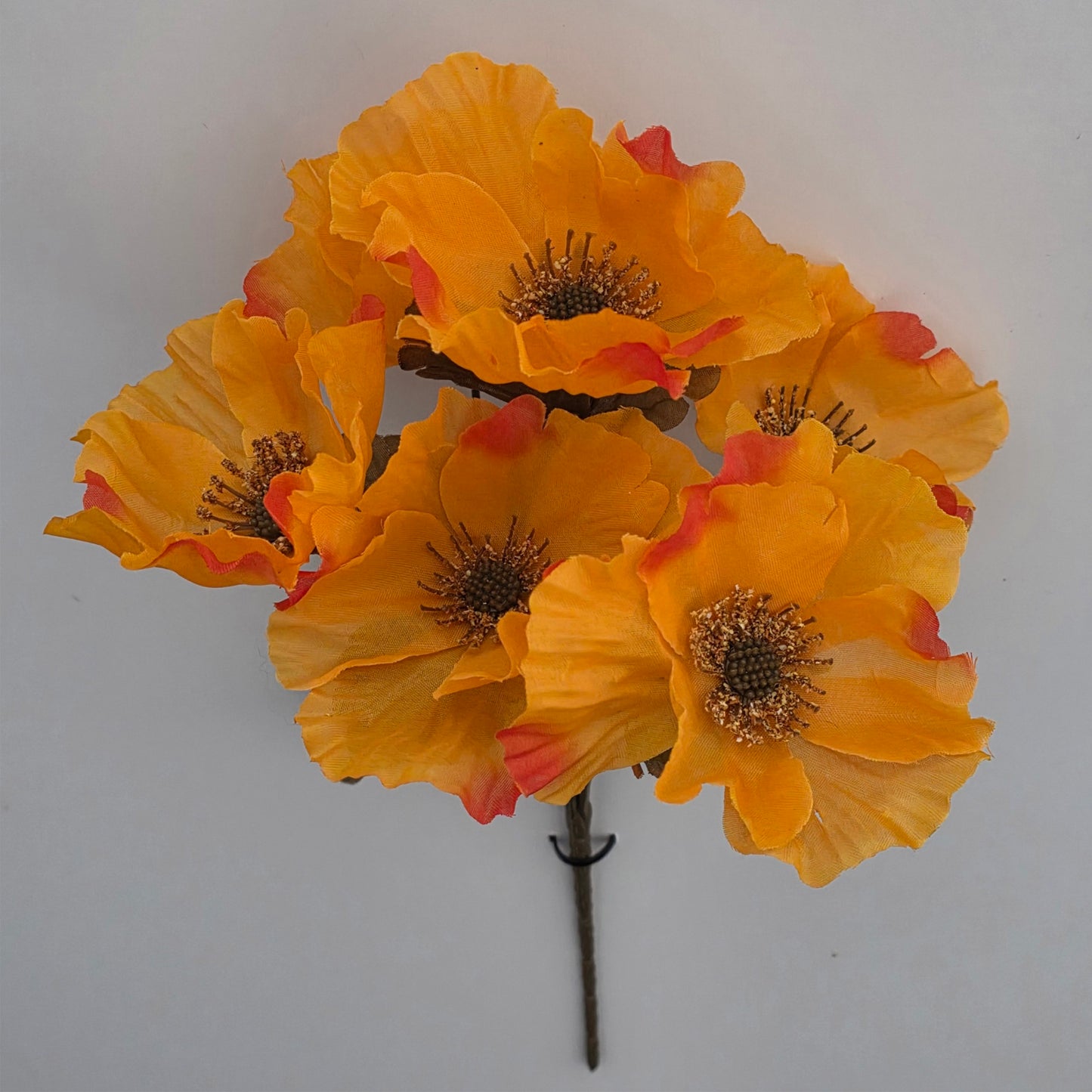 Autumn Poppy in 4 Autumnal Colours