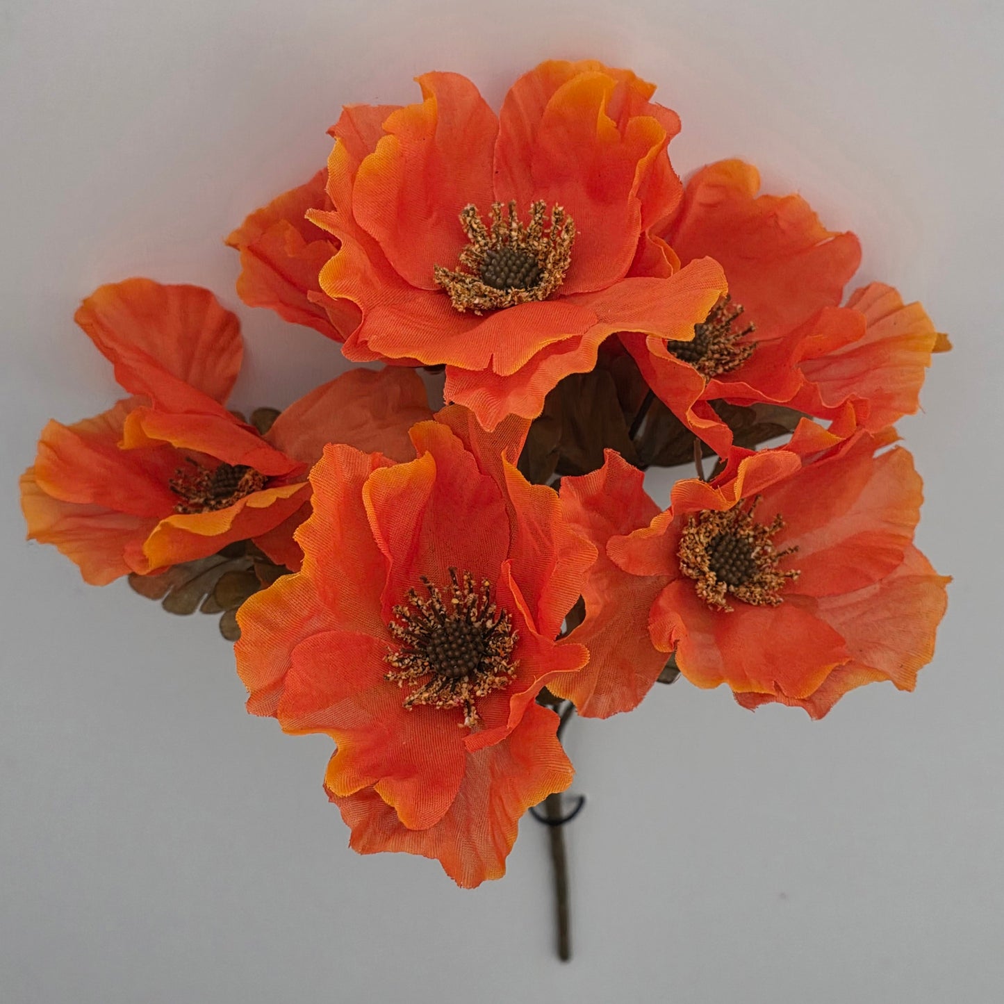 Autumn Poppy in 4 Autumnal Colours
