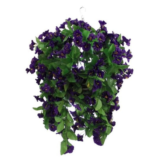 Hanging Basket 10 inch Morning Glory In Purple