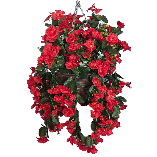 10 Inch Hanging Basket  Nasturtium in Red