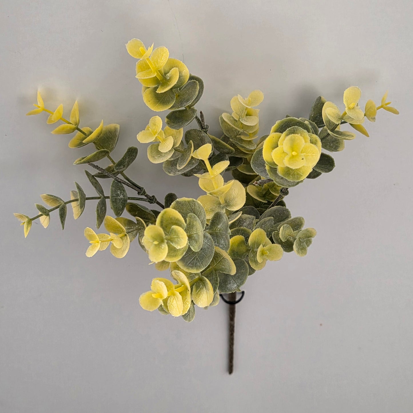 Eucalyptus available in four beautiful colours.