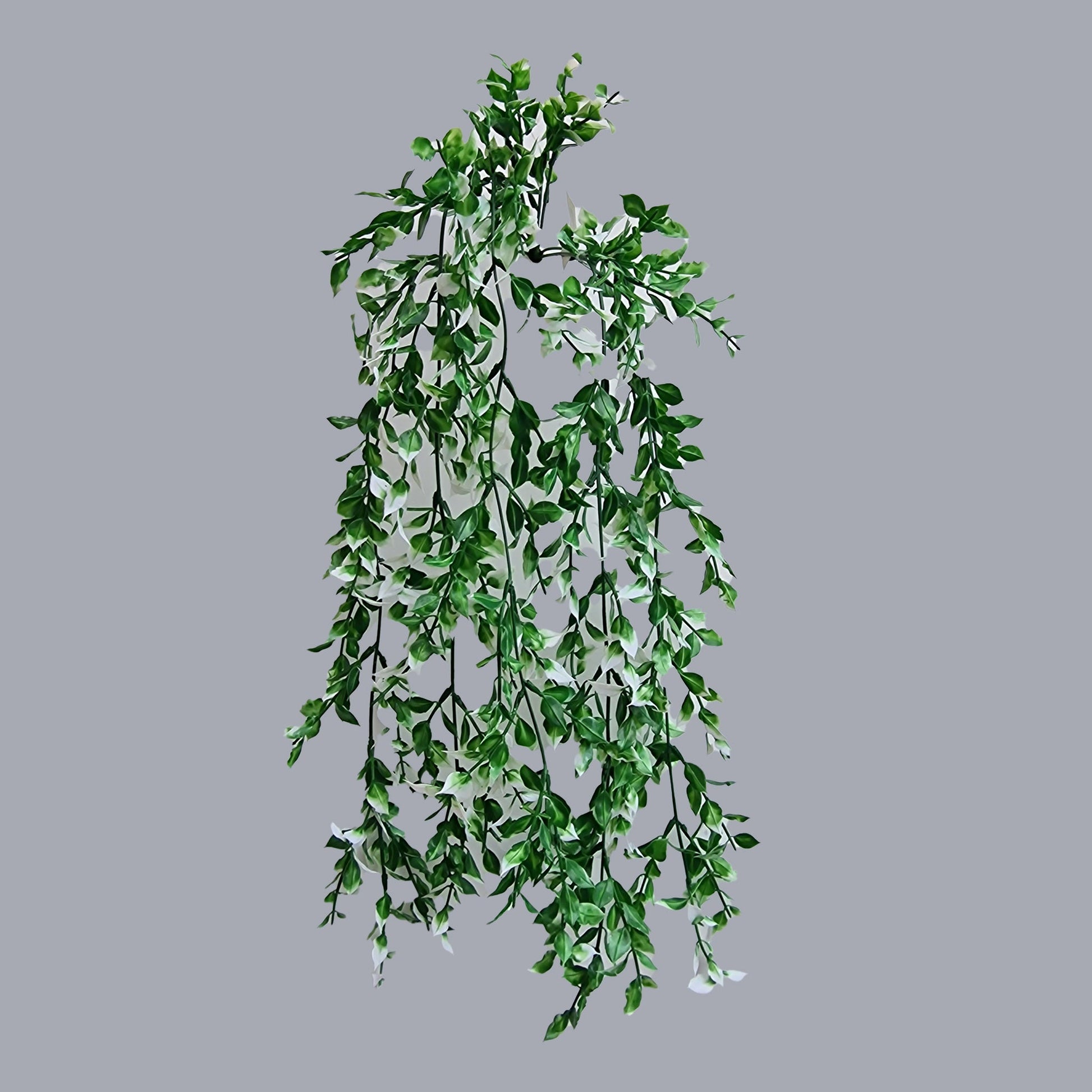 Beautiful Artificial Ruscus Trailing -Bush, - Amor Flowers