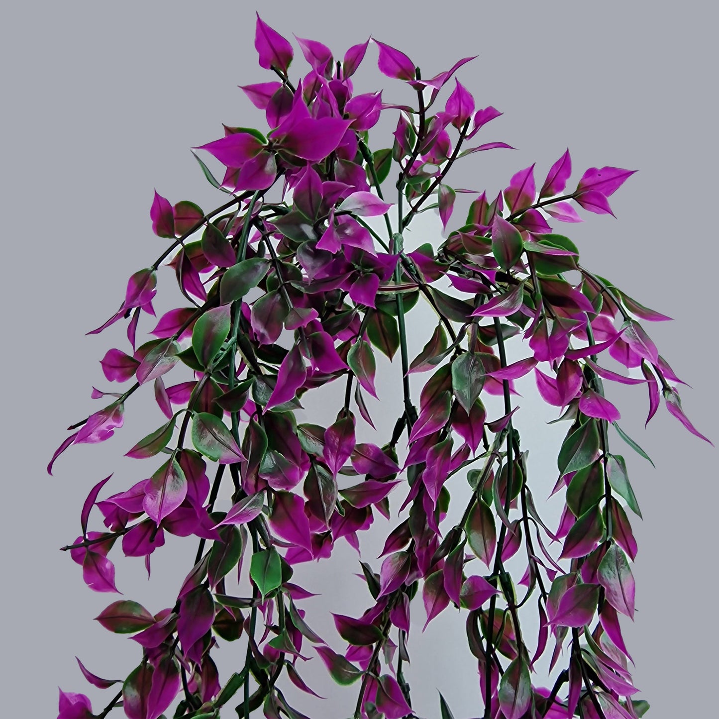 Beautiful Artificial Ruscus Trailing -Bush, - Amor Flowers