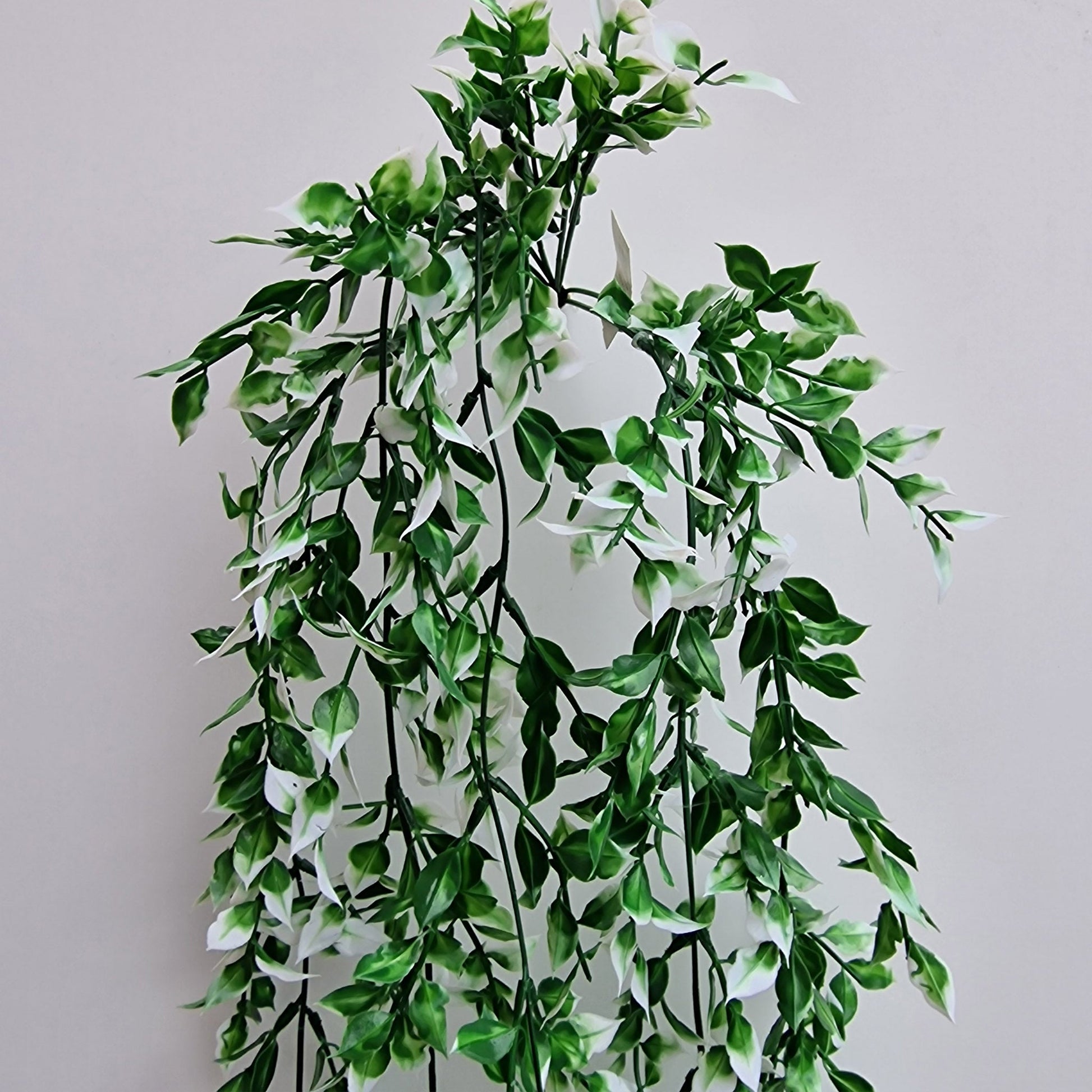 Beautiful Artificial Ruscus Trailing -Bush, - Amor Flowers