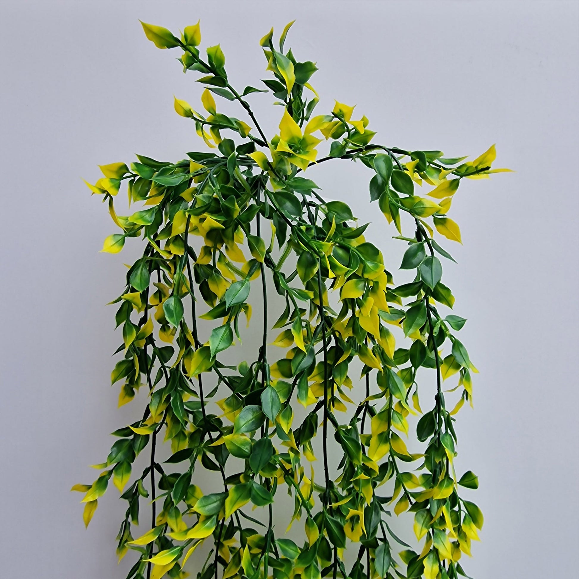 Beautiful Artificial Ruscus Trailing -Bush, - Amor Flowers