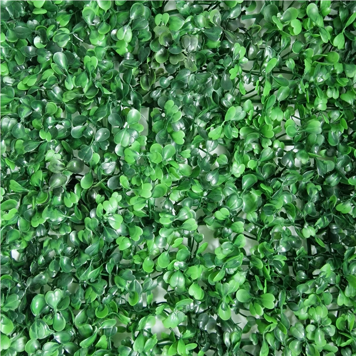 Boxwood Topiary Hedge Wall Panel 60cm x 40cm - Amor Flowers