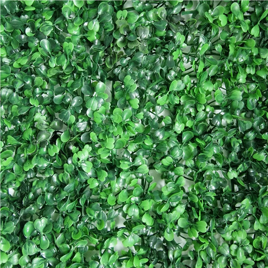 Boxwood Topiary Hedge Wall Panel 60cm x 40cm - Amor Flowers