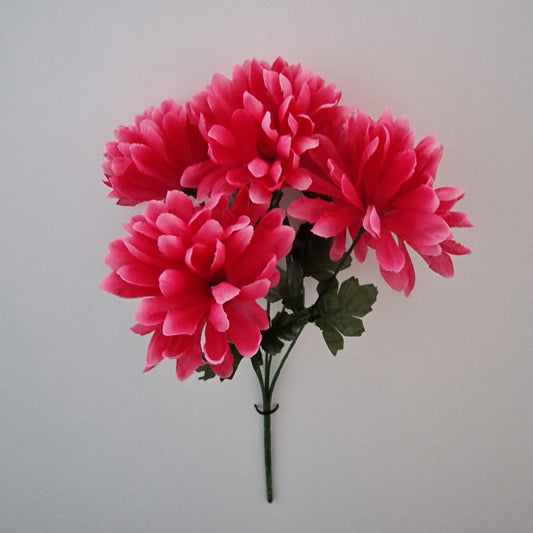 Chrysanthemum Mum Ball Bush - Amor Flowers
