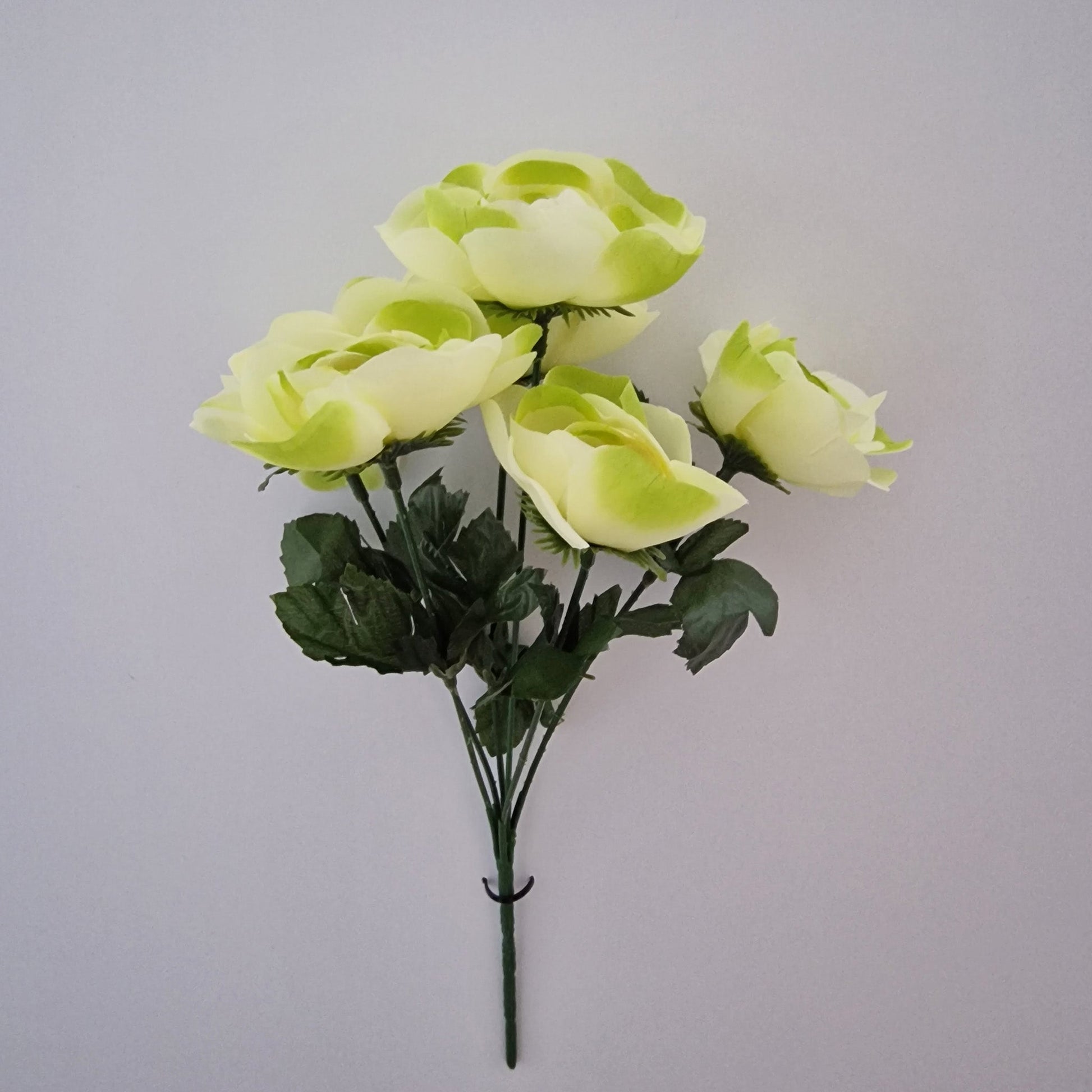 Ranunculus Bush in Six Colours - Amor Flowers