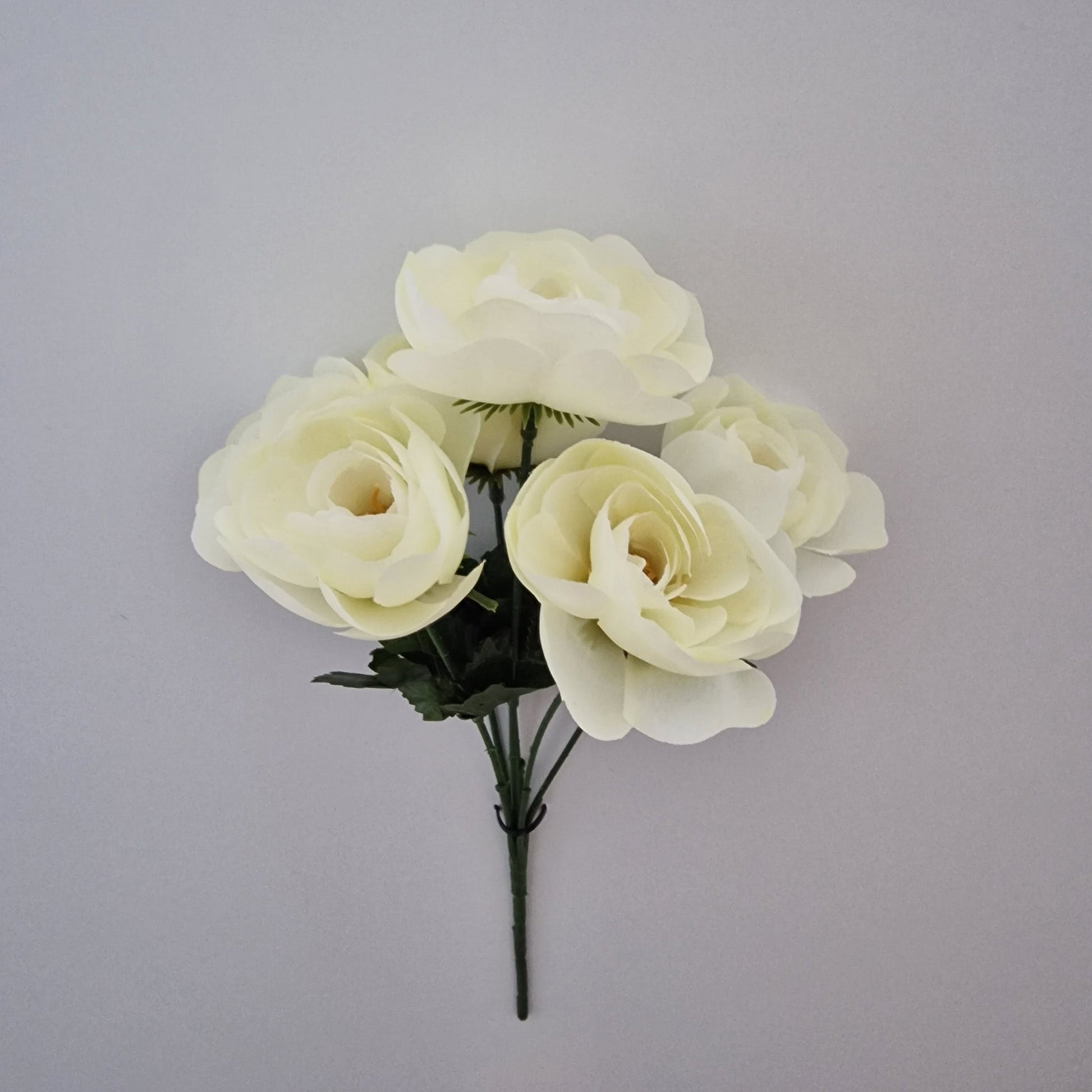 Ranunculus Bush in Six Colours - Amor Flowers
