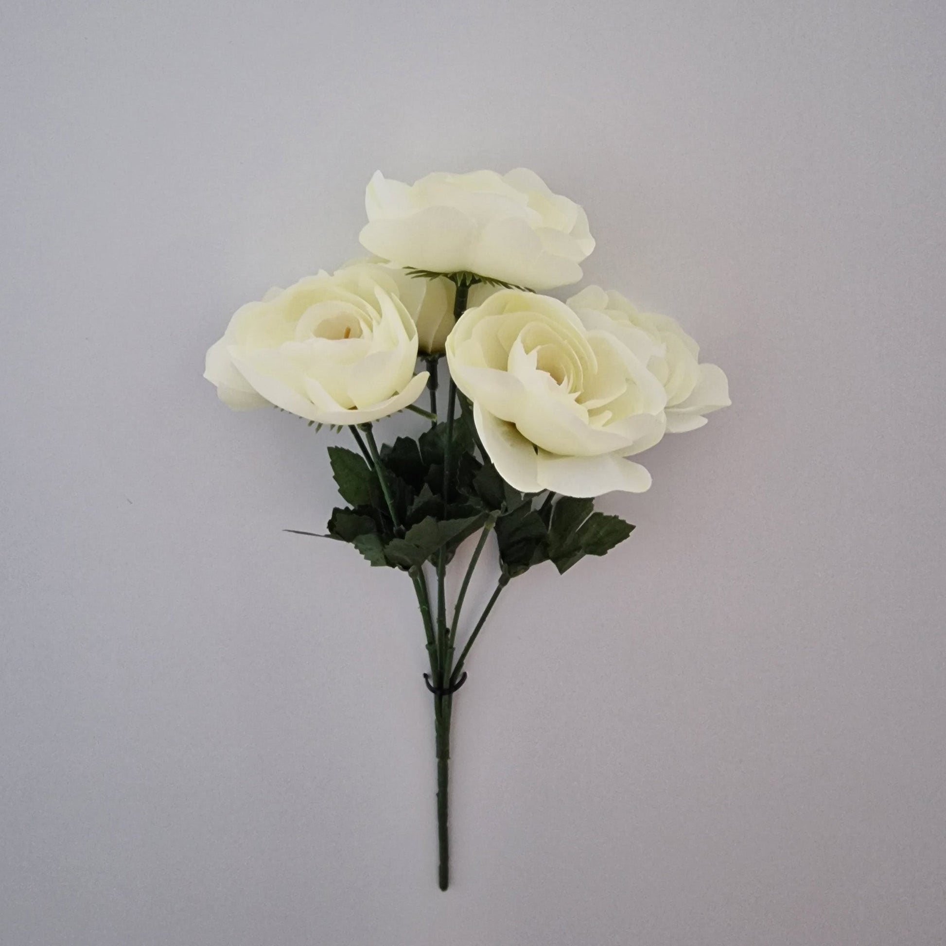 Ranunculus Bush in Six Colours - Amor Flowers