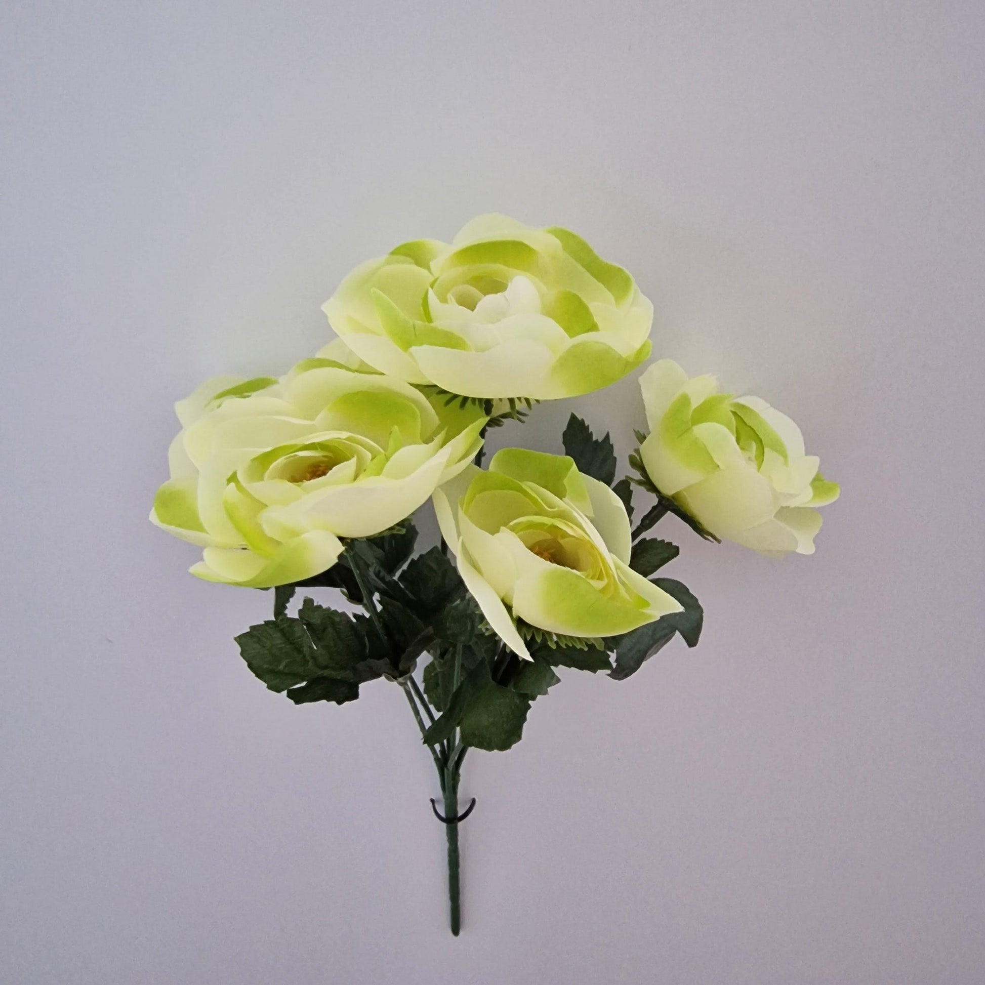 Ranunculus Bush in Six Colours - Amor Flowers